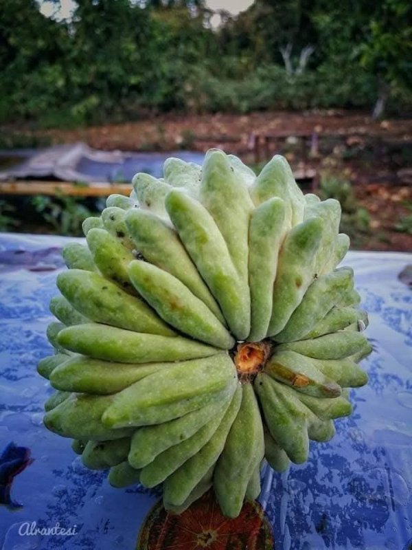 صور من قرية عزون عتمة جنوب قلقيلية، نقلاً عن صفحة أبناء البلد