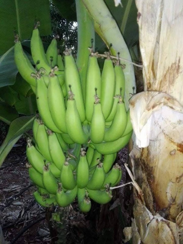 صور من قرية عزون عتمة جنوب قلقيلية، نقلاً عن صفحة أبناء البلد