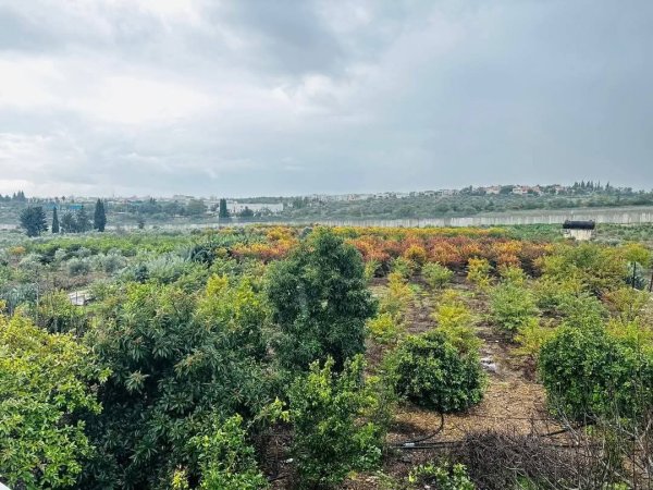 صور من قرية عزون عتمة جنوب قلقيلية، نقلاً عن صفحة أبناء البلد