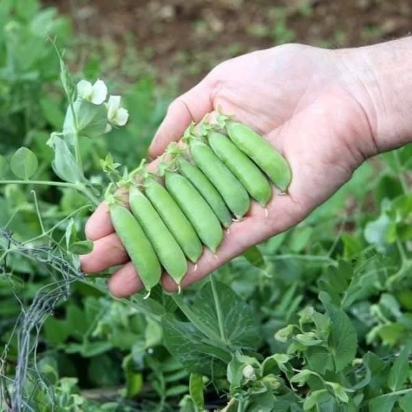 صور من قرية عزون عتمة جنوب قلقيلية، نقلاً عن صفحة أبناء البلد