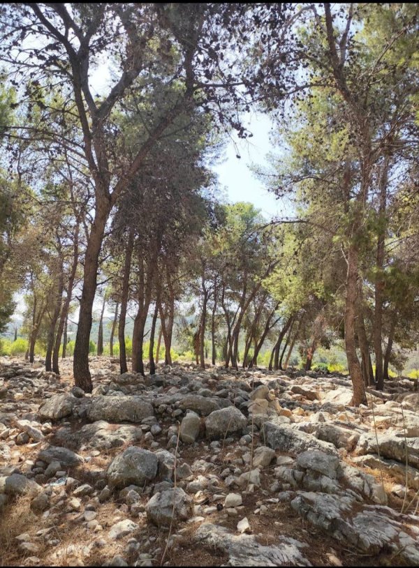  | موسوعة القرى الفلسطينية