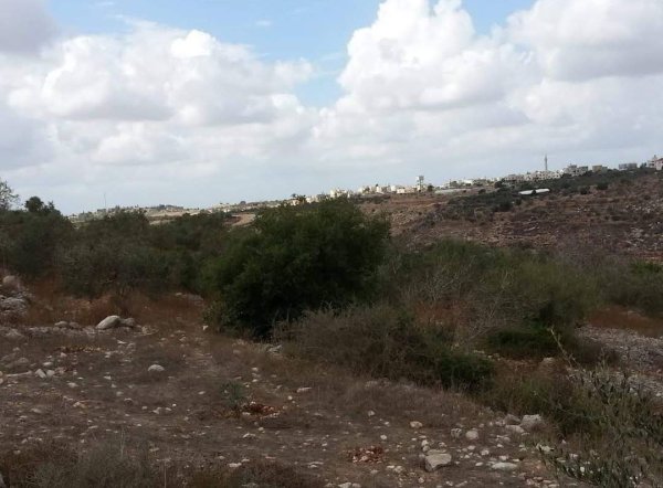  | موسوعة القرى الفلسطينية