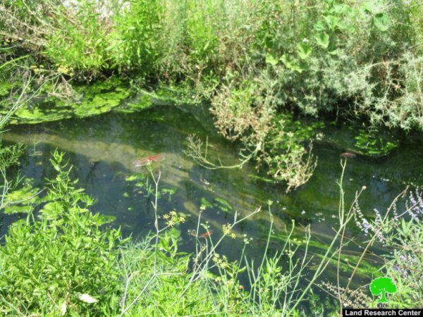 صور من قرية وادي الرشا، نقلاً عن معهد الأبحاث التطبيقية-أريج