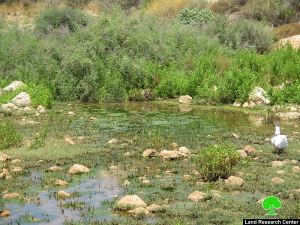صور من قرية وادي الرشا، نقلاً عن معهد الأبحاث التطبيقية-أريج