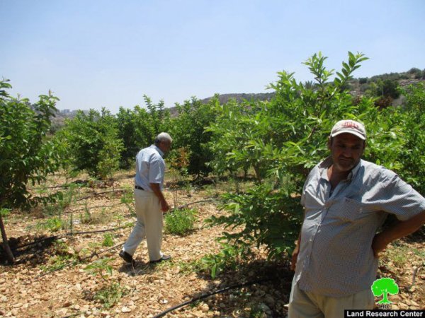 صور من قرية وادي الرشا، نقلاً عن معهد الأبحاث التطبيقية-أريج