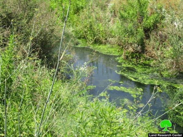 صور من قرية وادي الرشا، نقلاً عن معهد الأبحاث التطبيقية-أريج