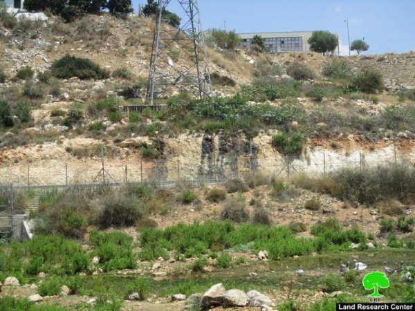 صور من قرية وادي الرشا، نقلاً عن معهد الأبحاث التطبيقية-أريج