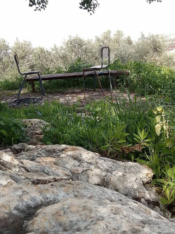 جمال طبيعة الربيع قرية وادي الرشا محافظة قلقيلية صفحتنا وادي الرشا