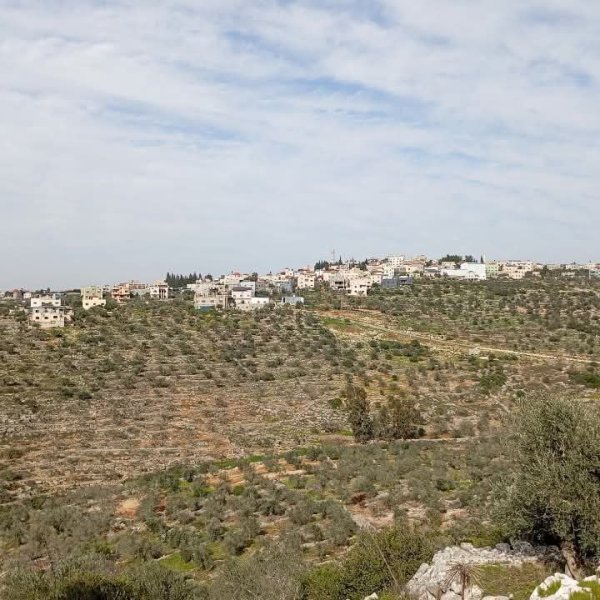 صور من قرية رافات غربي محافظة سلفيت