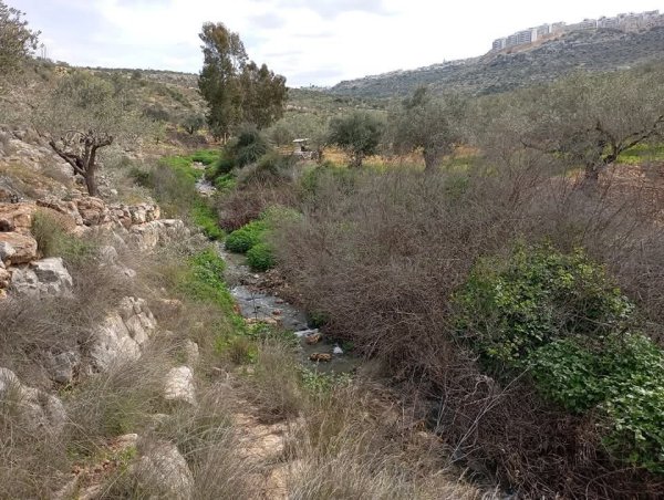 صور من قرية رافات غربي محافظة سلفيت