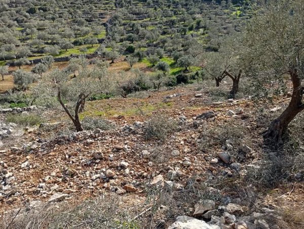 صور من قرية رافات غربي محافظة سلفيت