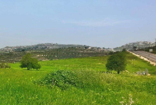 صور من قرية الفندق شرق مدينة قلقيلية