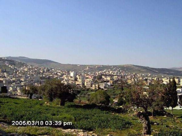 صور من قرية الفندق شرق مدينة قلقيلية