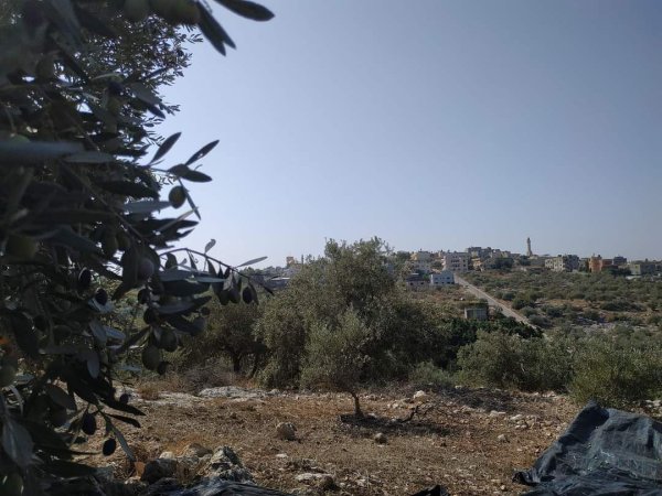  | موسوعة القرى الفلسطينية