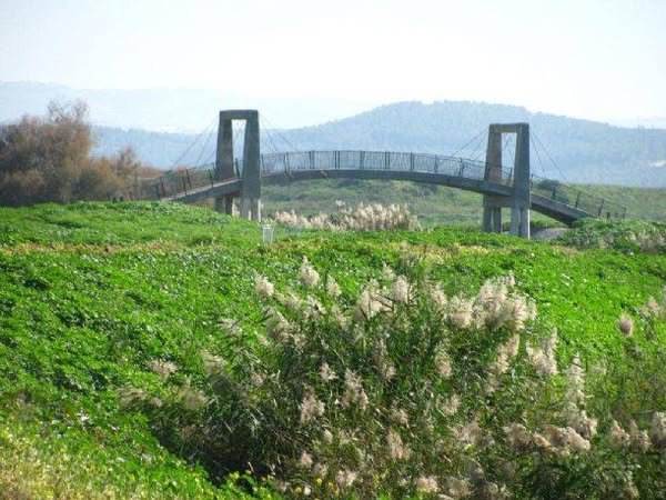 | موسوعة القرى الفلسطينية  | موسوعة القرى الفلسطينية