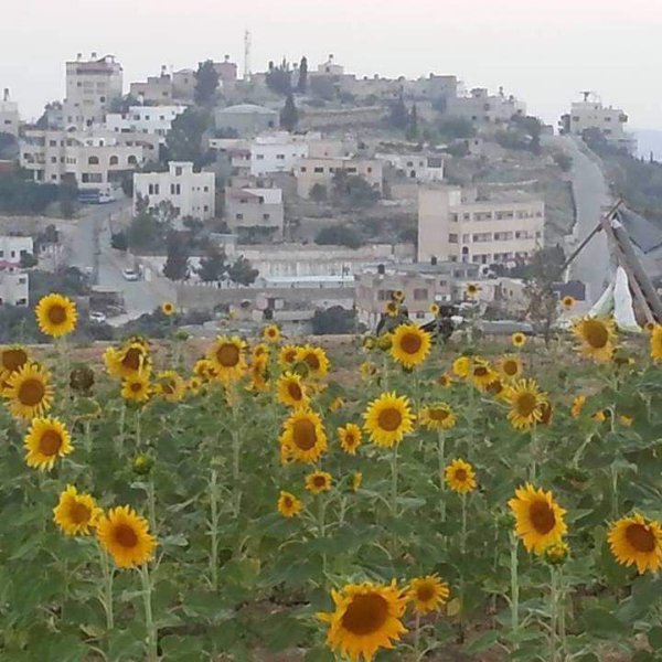  | موسوعة القرى الفلسطينية