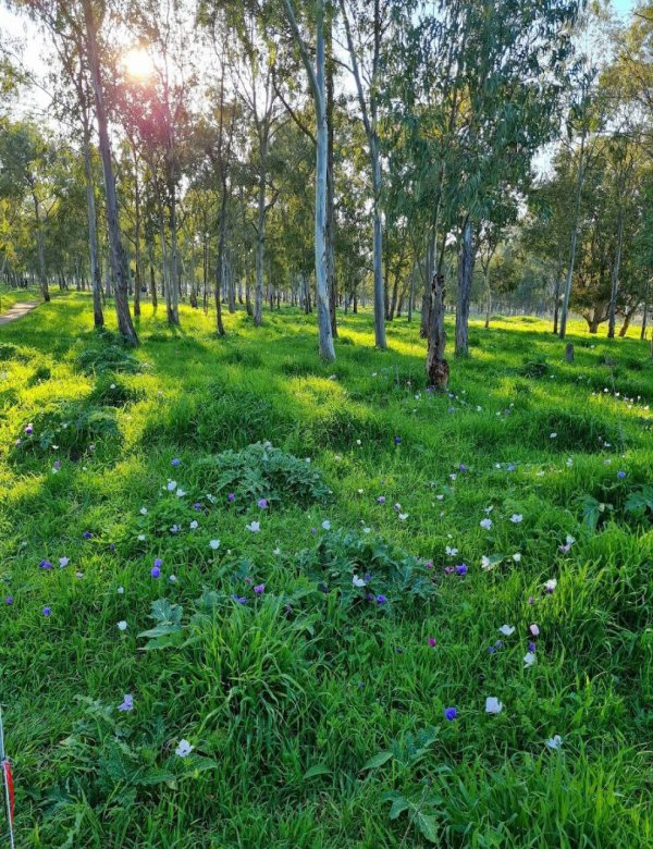 | موسوعة القرى الفلسطينية