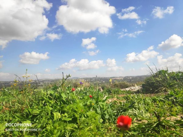 صور حديثة لمدينة جنين بإطلالات من مختلف أنحاء المدينة