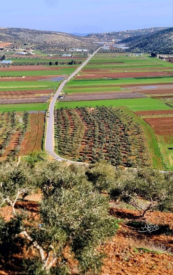 صور حديثة لمدينة جنين بإطلالات من مختلف أنحاء المدينة