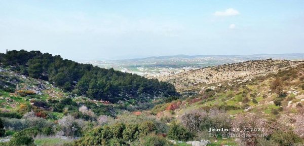 صور حديثة لمدينة جنين بإطلالات من مختلف أنحاء المدينة