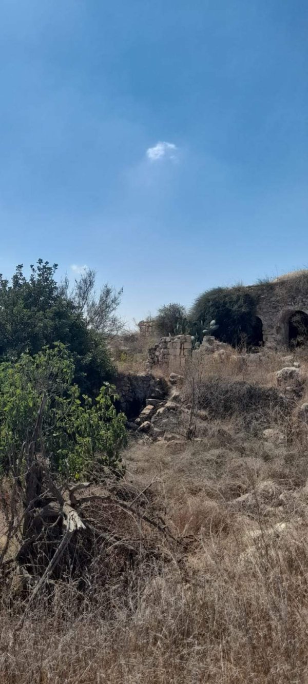  | موسوعة القرى الفلسطينية