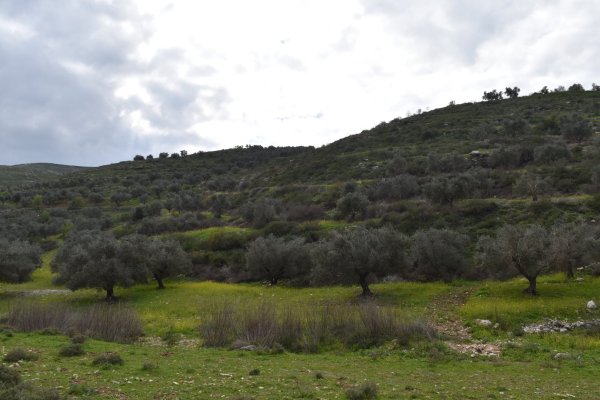 قرية نصف جبيل: نابلس