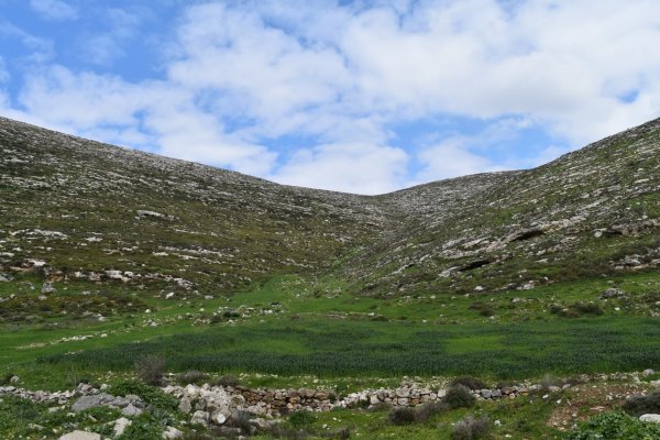 قرية نصف جبيل: نابلس