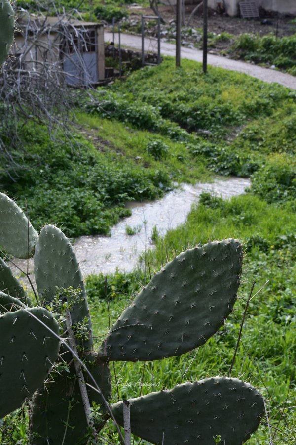 قرية نصف جبيل: نابلس