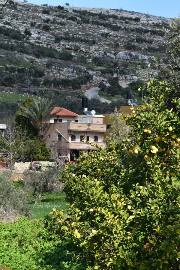 قرية نصف جبيل: نابلس