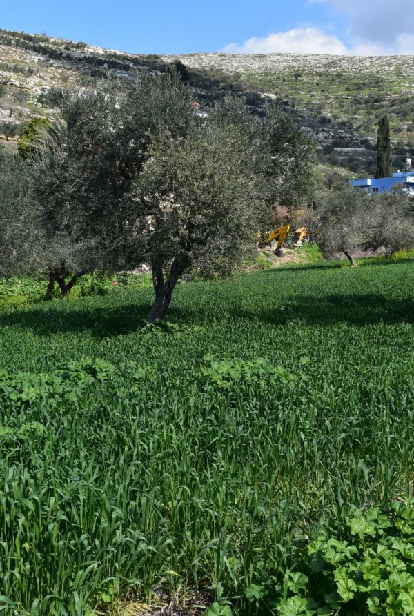 قرية نصف جبيل: نابلس