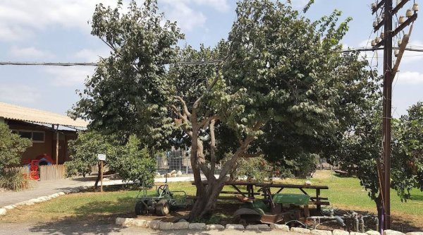 صور من المستوطنة التي أقيمت على أراضي قرية الورقاني المهجرة