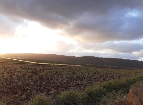 صور من مستوطنة ميزراع المقامة على أراضي قرية تل العدس