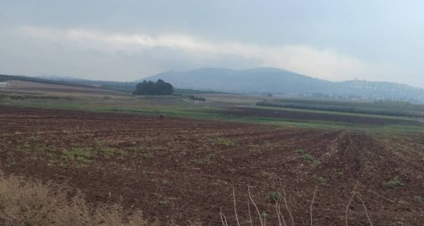 صور من مستوطنة تل عدشيم التي أقيمت على أراضي قرية تل العدس