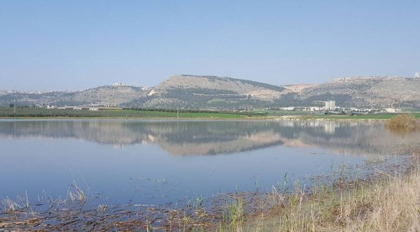 صور من مستوطنة تل عدشيم التي أقيمت على أراضي قرية تل العدس