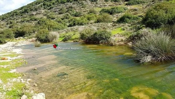 صور من وادي قانا بعدسة: أ. شوكت ريان