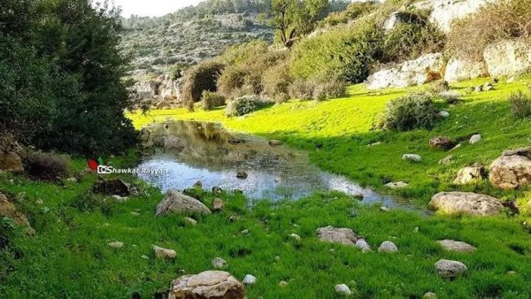 صور من وادي قانا بعدسة: أ. شوكت ريان