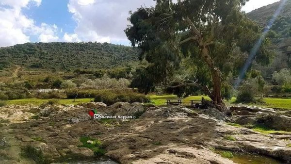 صور من وادي قانا بعدسة: أ. شوكت ريان