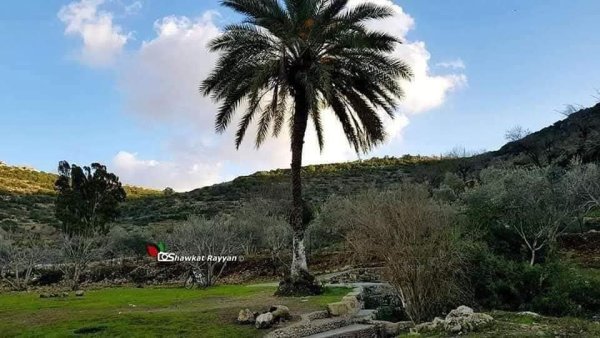 صور من وادي قانا بعدسة: أ. شوكت ريان