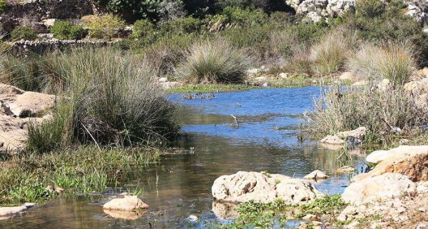 صور من وادي قانا بعدسة: أ. شوكت ريان