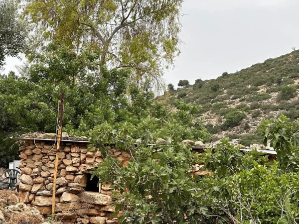 صور من وادي قانا، بعدسة: أ. محمد أبو نوح