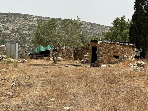 صور من وادي قانا، بعدسة: أ. محمد أبو نوح