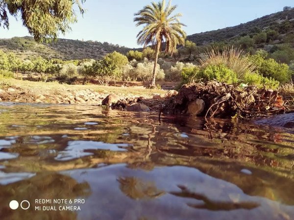 المياه في وادي قانا
