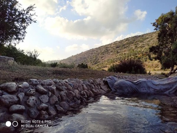 المياه في وادي قانا