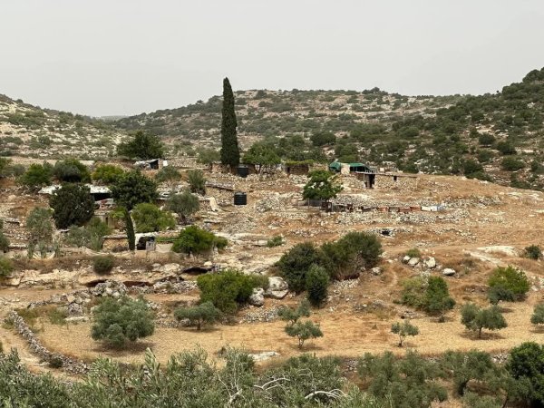 صور من وادي قانا، بعدسة: أ. محمد أبو نوح