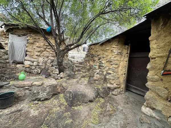 صور من وادي قانا، بعدسة: أ. محمد أبو نوح