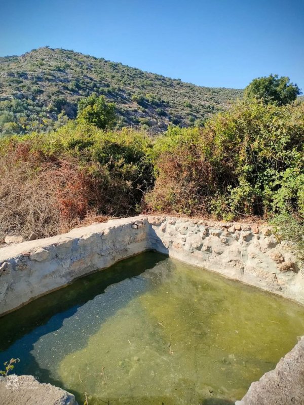 صور من أراضي وادي قانا، بعدسة: Ibrahim Zarour