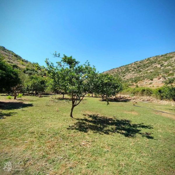 صور من أراضي وادي قانا، بعدسة: Ibrahim Zarour