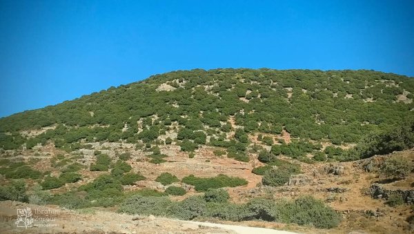 صور من أراضي وادي قانا، بعدسة: Ibrahim Zarour