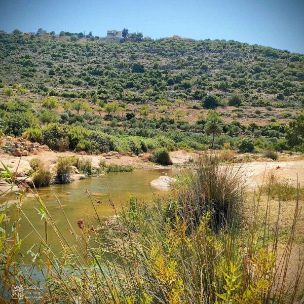 صور من أراضي وادي قانا، بعدسة: Ibrahim Zarour