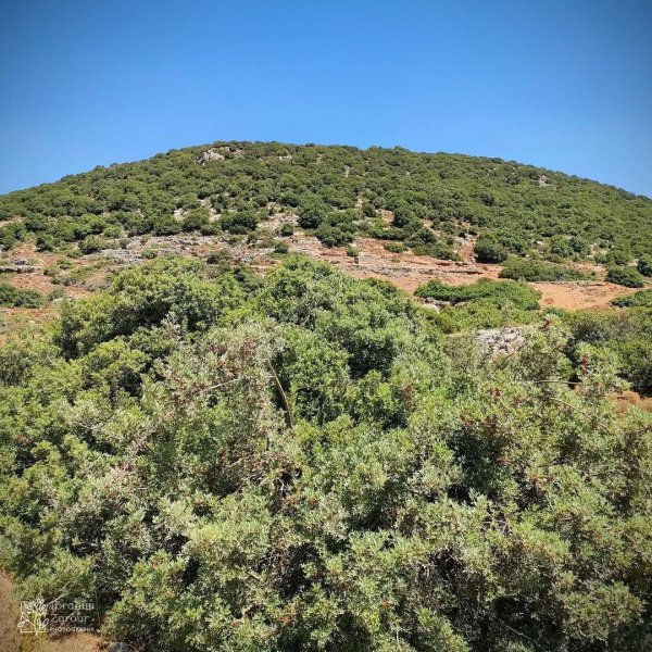 صور من أراضي وادي قانا، بعدسة: Ibrahim Zarour